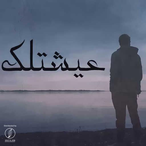 كلمات اغنية عمرو ميوزك – عيشتلك مكتوبة