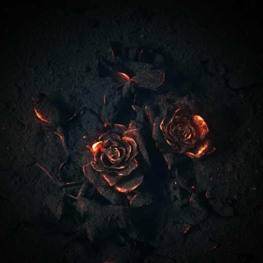 كلمات اغنية Arshia Hajar – اضافه کاری (feat. Arsihia Hajar) مكتوبة