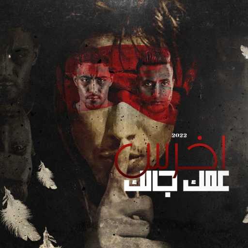 كلمات اغنية حلقولو – اخرس عمك جالك مكتوبة