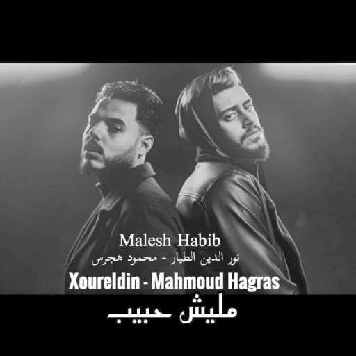 كلمات اغنية نور الدين & محمود هجرس – مليش حبيب مكتوبة