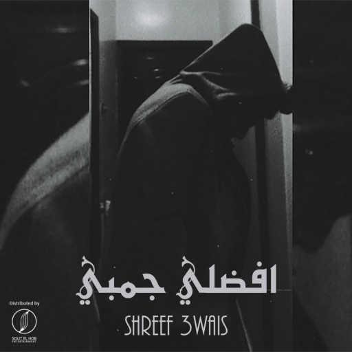 كلمات اغنية شريف عويس – افضلي جمبي مكتوبة