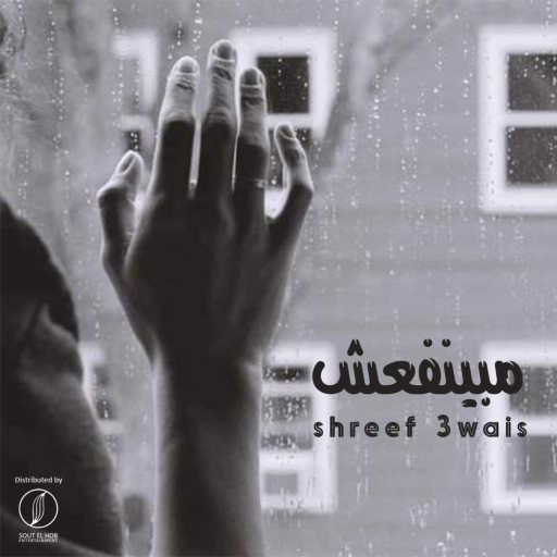 كلمات اغنية شريف عويس – مبينفعش‬ مكتوبة