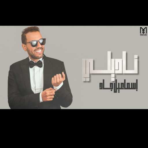 كلمات اغنية إسماعيل جاد – ناديلي مكتوبة