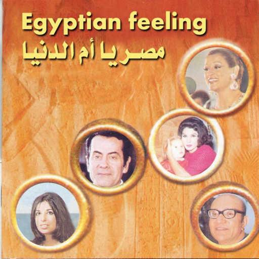 كلمات اغنية محمد قنديل – يا معداوى مكتوبة