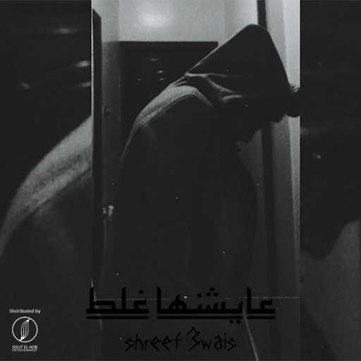 كلمات اغنية شريف عويس – عايشنها غلط مكتوبة