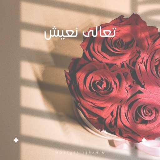 كلمات اغنية مصطفى ابراهيم – تعالى نعيش مكتوبة