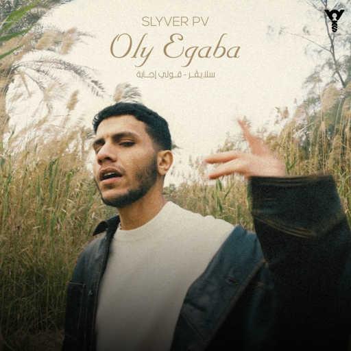 كلمات اغنية سلايفر بي في – قلي إجابة مكتوبة