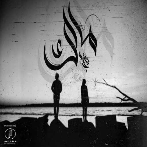 كلمات اغنية مزيكاتي – مالك مكتوبة