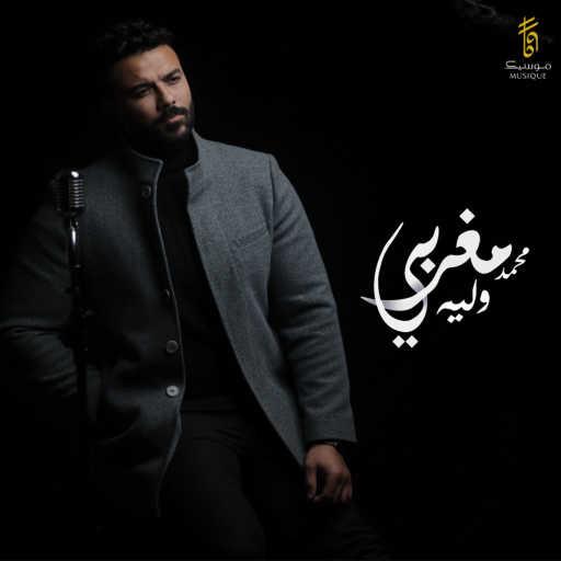 كلمات اغنية محمد مغربي – وليه مكتوبة