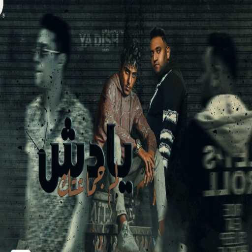 كلمات اغنية حلقولو – لم جمعتك يا دش مكتوبة