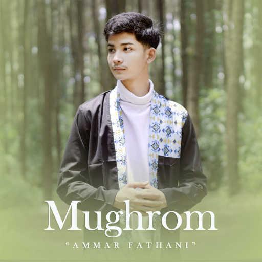 كلمات اغنية Ammar Fathani – Mughrom مكتوبة