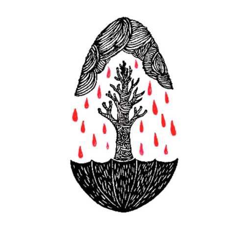 كلمات اغنية Shock Z – KATEB مكتوبة