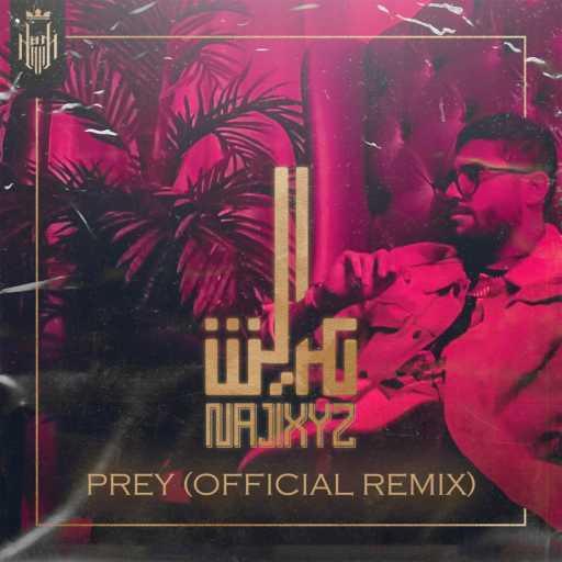 كلمات اغنية ناجي XYZ – فضل الله عايش (PREY Remix) مكتوبة