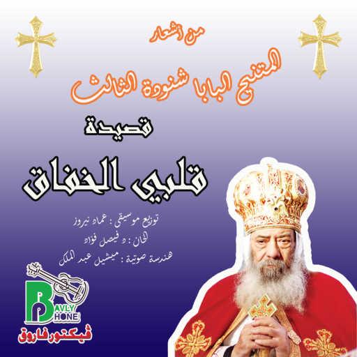 كلمات اغنية Pope Shenouda III – قلبي الخفاق مكتوبة