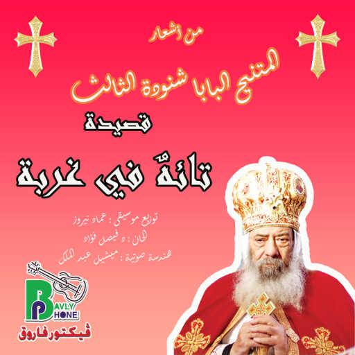 كلمات اغنية Pope Shenouda III – تائهٌ في غربة مكتوبة