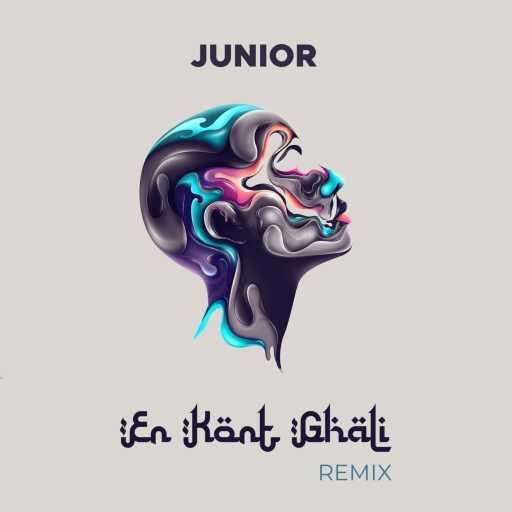 كلمات اغنية صلاح جونيور – إن كنت غالى – ريمكس مكتوبة