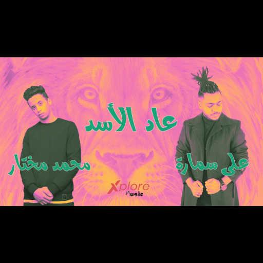 كلمات اغنية علي سمارة و محمد مختار – عاد الاسد يحكم عرينه مكتوبة