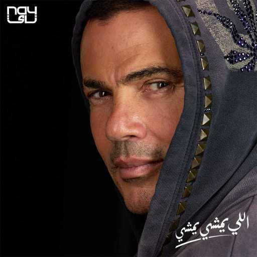 كلمات اغنية عمرو دياب – اللي يمشي يمشي مكتوبة