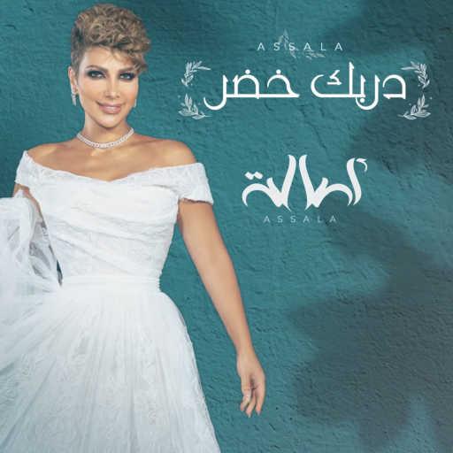 كلمات اغنية أصالة نصري – دربك خضر مكتوبة