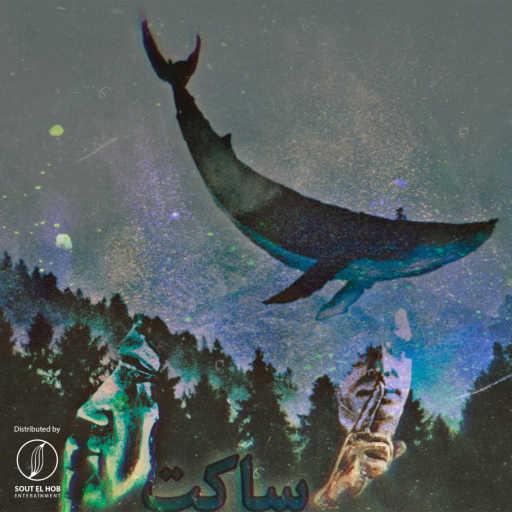 كلمات اغنية قطبي – ساكت مكتوبة