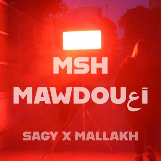 كلمات اغنية ساجي – مش موضوعي (مع Mallakh) مكتوبة