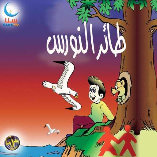 كلمات اغنية سنا | SANA – طائر النورس | Taer Al Nawras مكتوبة