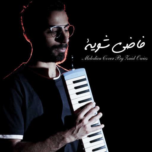 كلمات اغنية زيد عويس – فاضي شويه | موسيقى على آلة الميلوديكا مكتوبة