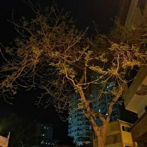 كلمات اغنية سموكر – تراك ملهوش لازمه متكروت ومعمول ف نص ساعة بطلع فيه أوفرثينك نص الليل متسمعهوش مكتوبة