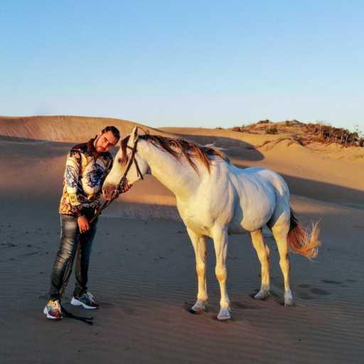 كلمات اغنية Lil Cupid – Patient مكتوبة