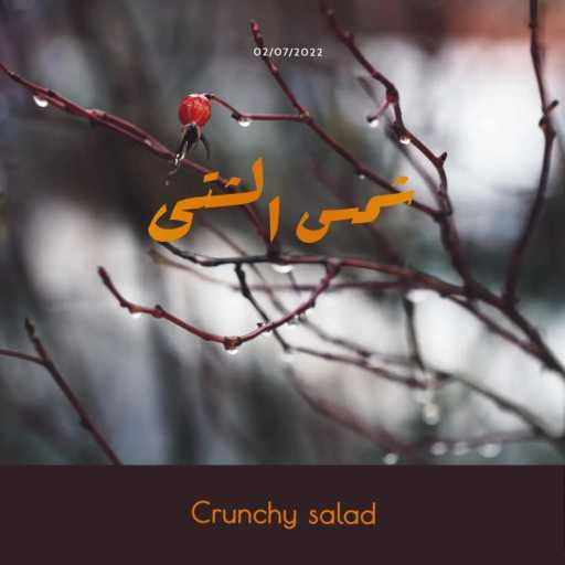 كلمات اغنية Crunchy salad – لحظة مكتوبة