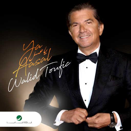 كلمات اغنية وليد توفيق – يا عسل مكتوبة