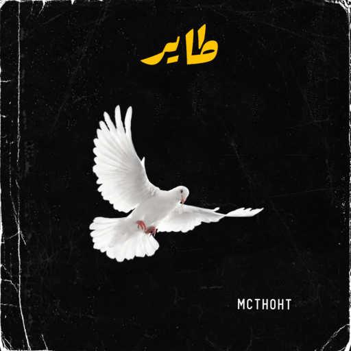 كلمات اغنية فادي سامح – طاير مكتوبة