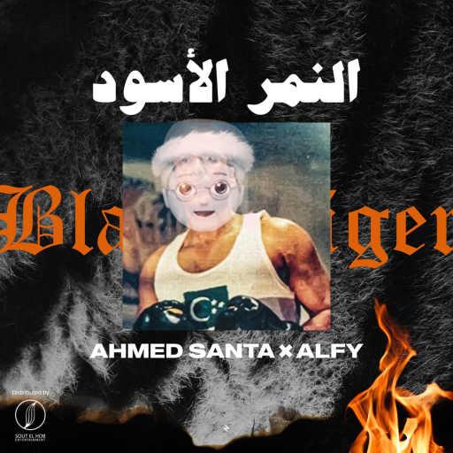 كلمات اغنية احمد سانتا و ألفي – النمر الأسود مكتوبة