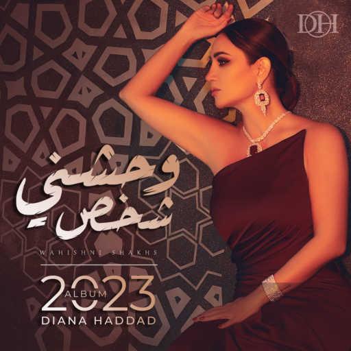 كلمات اغنية ديانا حداد – وحشني شخص مكتوبة