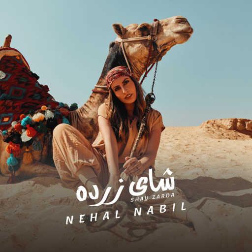 كلمات اغنية نهال نبيل – شاي زرده مكتوبة