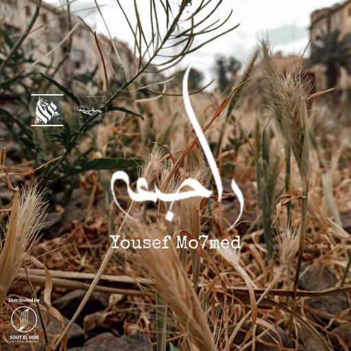 كلمات اغنية يوسف محمد – راجعه مكتوبة