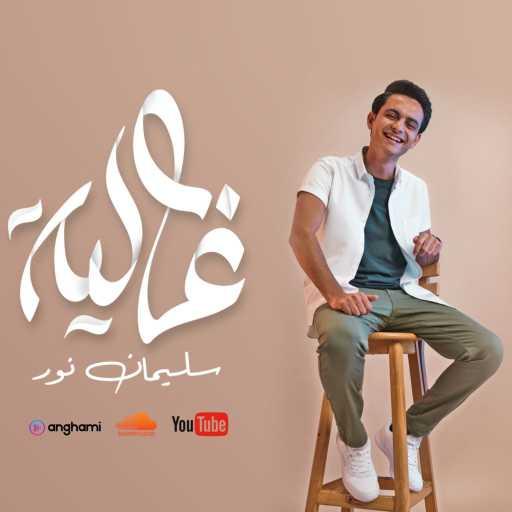 كلمات اغنية سليمان نور – غالية مكتوبة