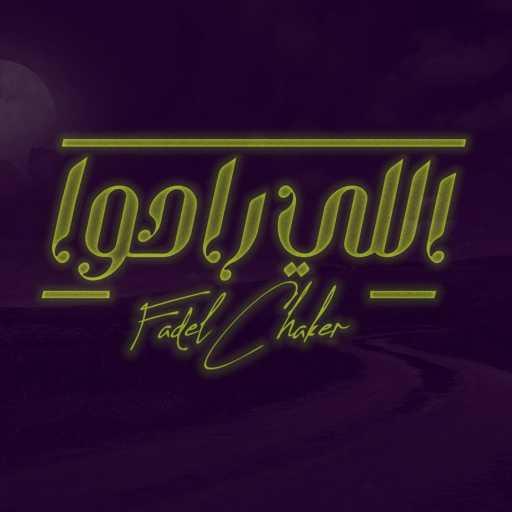 كلمات اغنية فضل شاكر – اللي راحوا مكتوبة