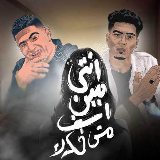 كلمات اغنية نور التوت – انتي مين اسف مش فكرك (feat. Hamo El Tekha) مكتوبة