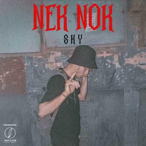 كلمات اغنية سكاي – نيك نوك مكتوبة