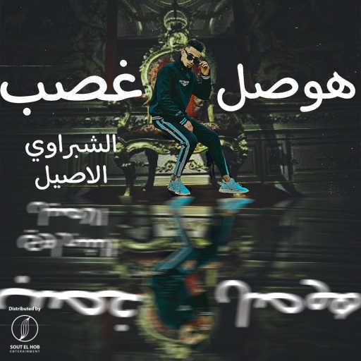 كلمات اغنية الشبراوي الاصيل – هوصل غصب مكتوبة