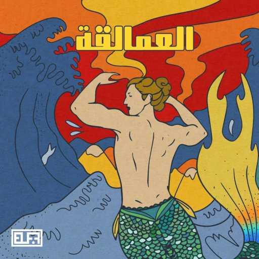 كلمات اغنية فضيله – معلش مكتوبة