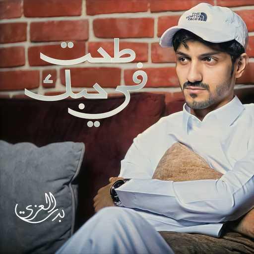 كلمات اغنية بدر العزي – طحت في حبك مكتوبة