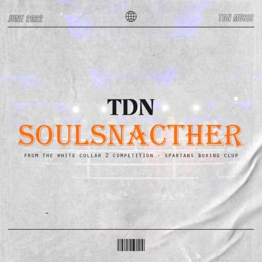 كلمات اغنية TDN – SOULSNATCHA مكتوبة