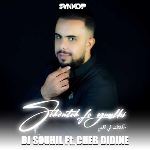 كلمات اغنية DJ Souhil – Sekentek Fe Gualbi (feat. Cheb Didine) مكتوبة