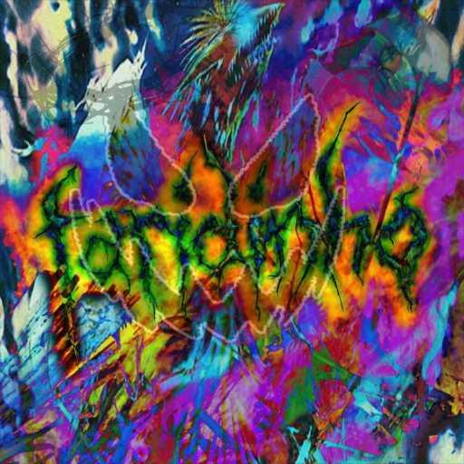 كلمات اغنية FARIDINHO – Fiamma di Reeca مكتوبة