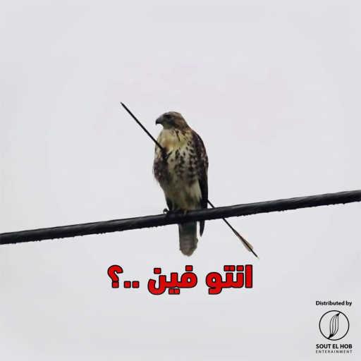 كلمات اغنية بازوكا – انتو فين مكتوبة