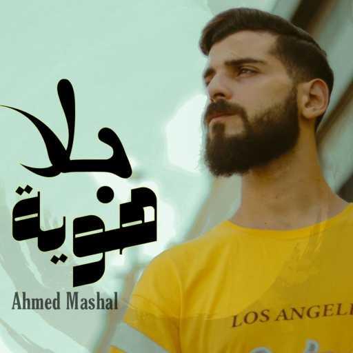 كلمات اغنية Ahmed Mashal – أغنية ” بلا هوية ” هم باعو لما ضاعو – احمد مشعل مكتوبة