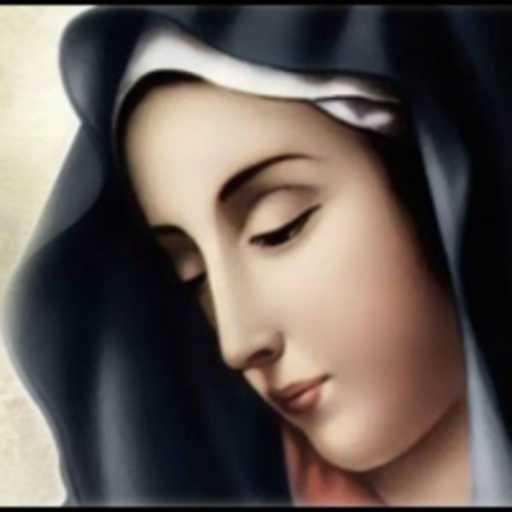 كلمات اغنية جون سمير – ترنيمة ياعدرا يا ام النور مكتوبة