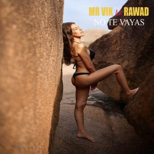 كلمات اغنية Mr. Vik – No Te Vayas (feat. Rawad) مكتوبة